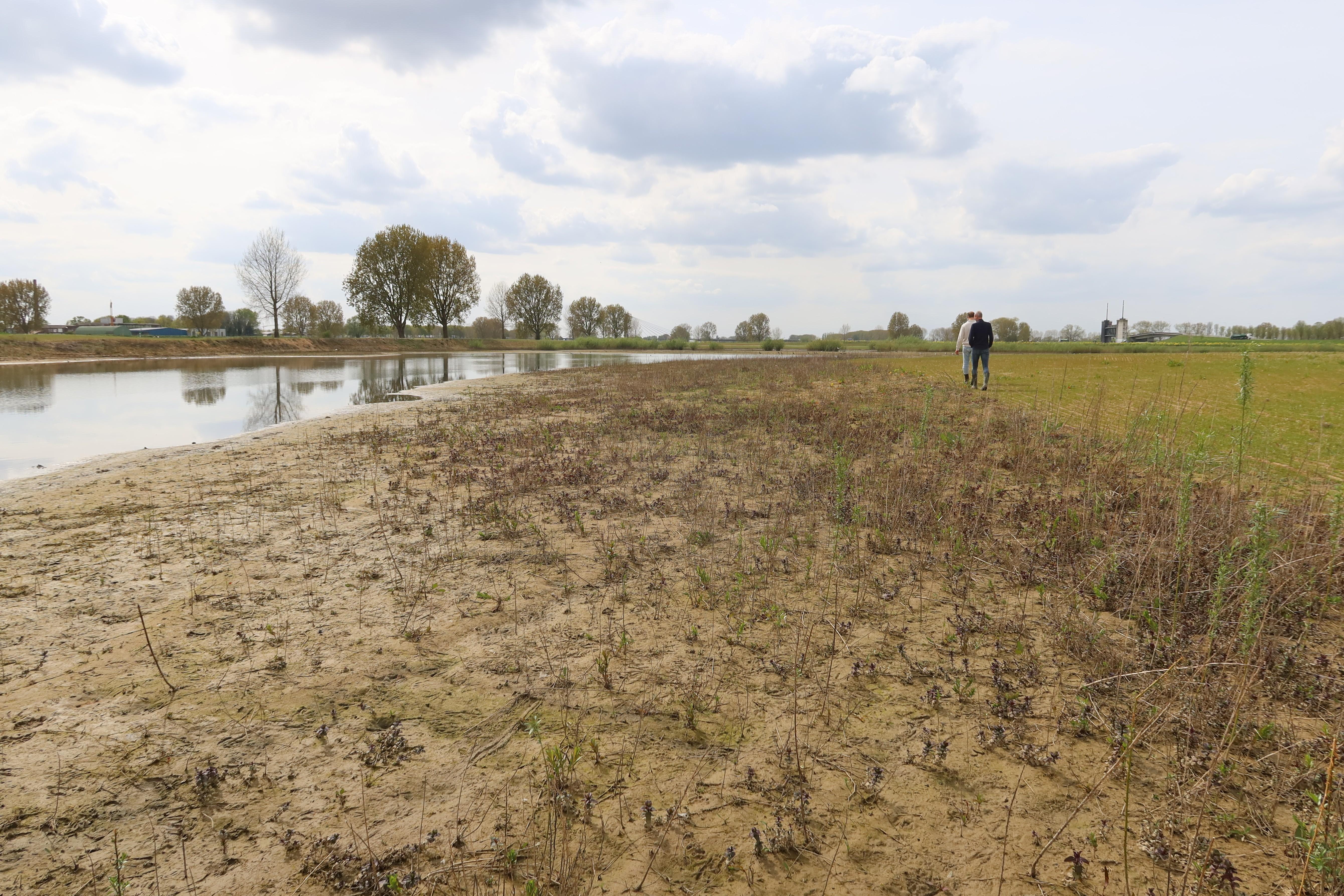 Veldbezoek Hemertse Waard april 2026