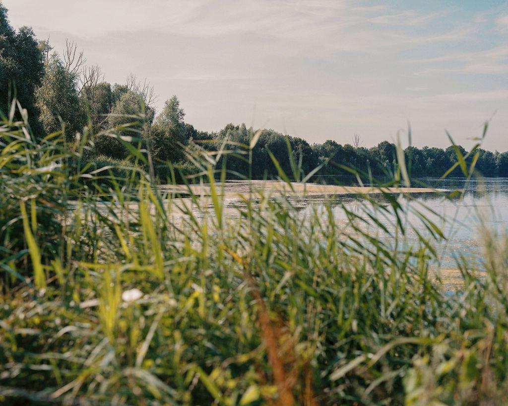 referentiebeeld plas