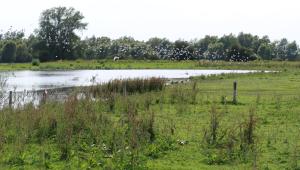 Veenoordkolk en Teugse Kolk Deventer